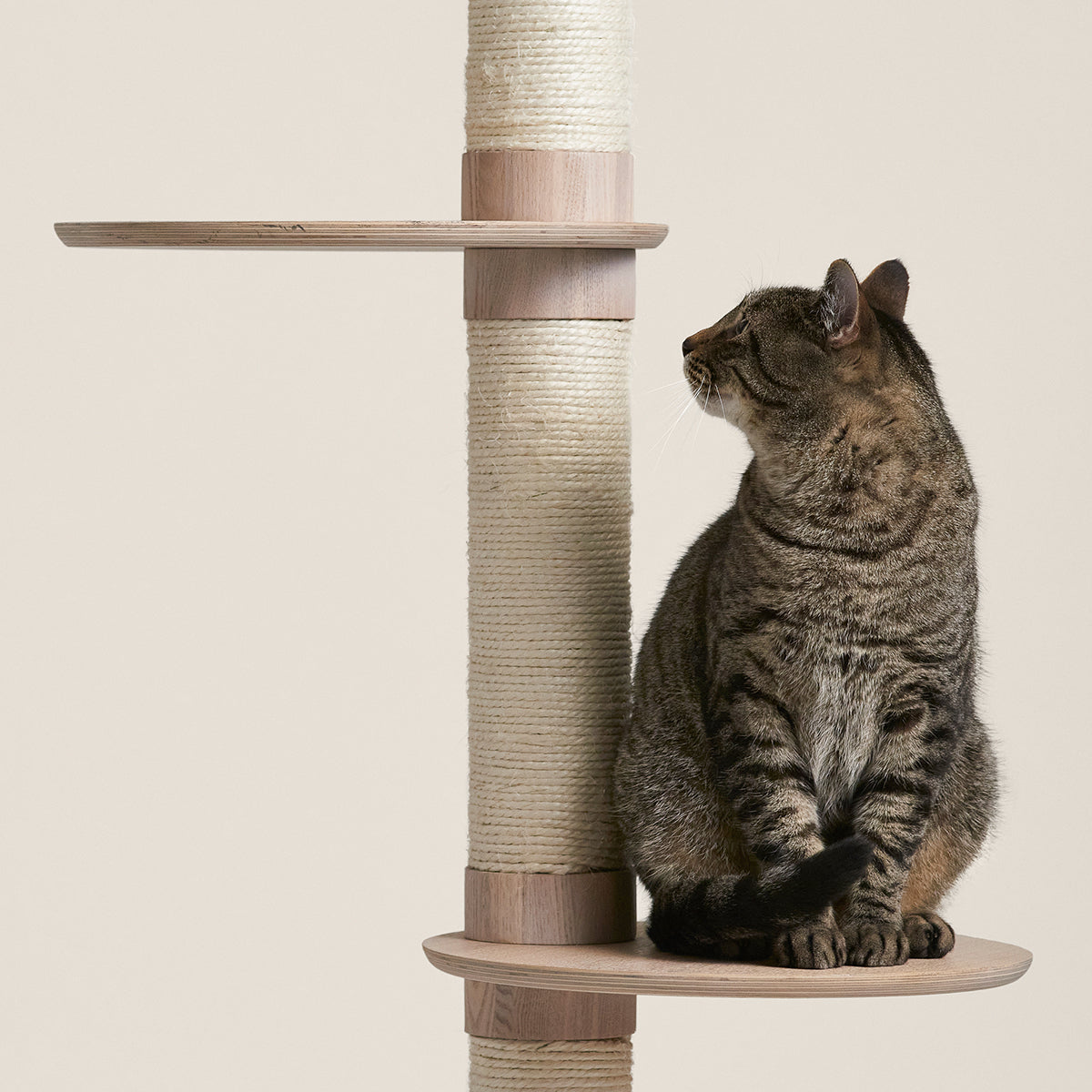 Frond Cat Tree