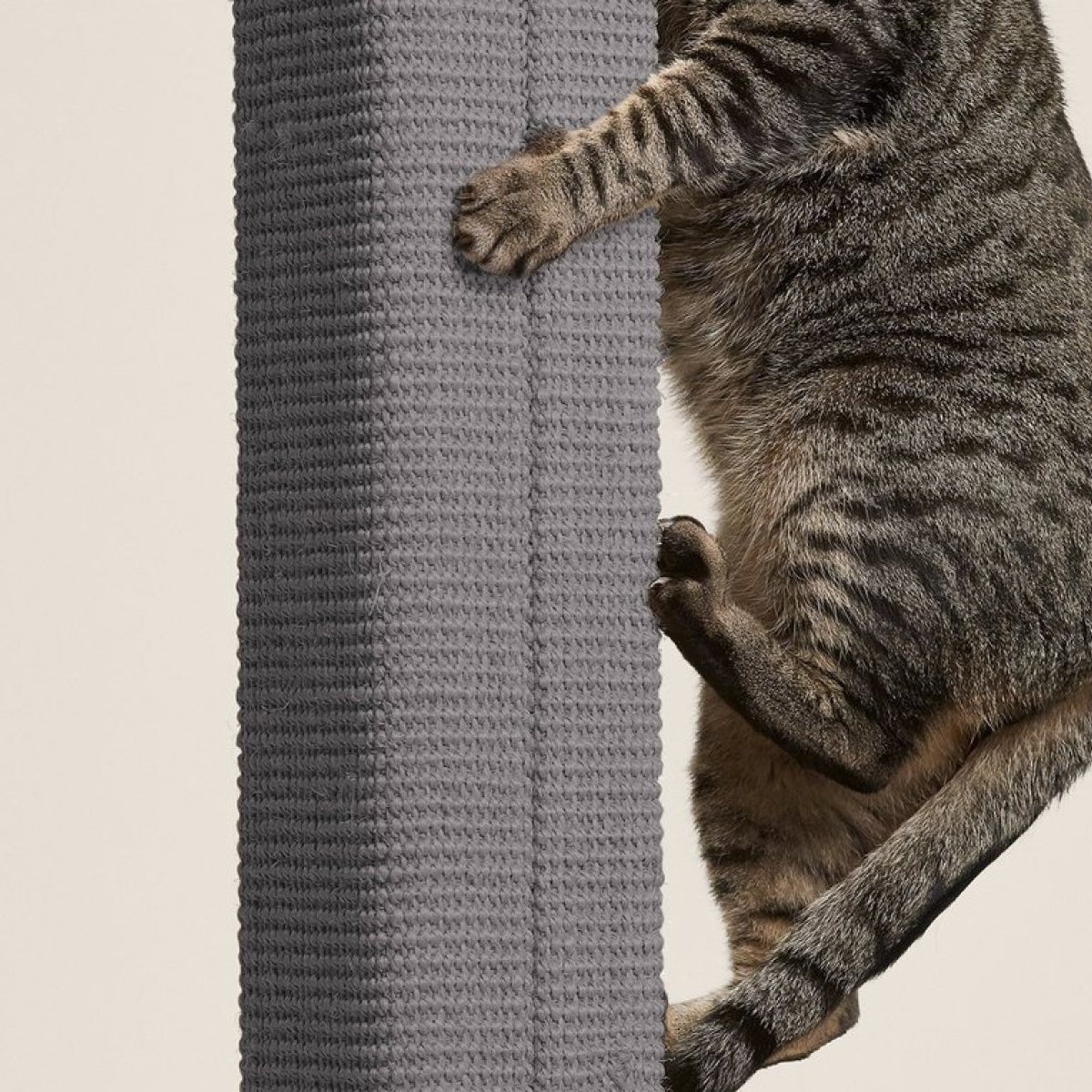 Zip Scratching Post