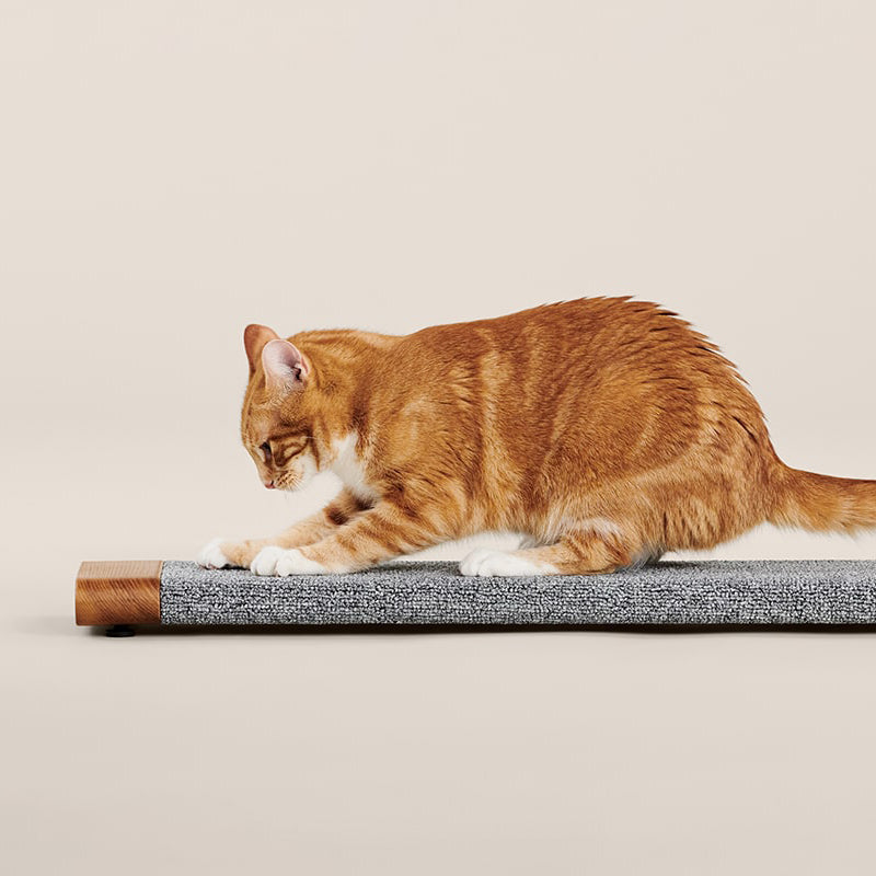 Tab Scratching Board